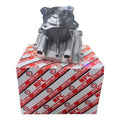 Bomba De Agua Grand Vitara 2.0 4 Cilindros Korea